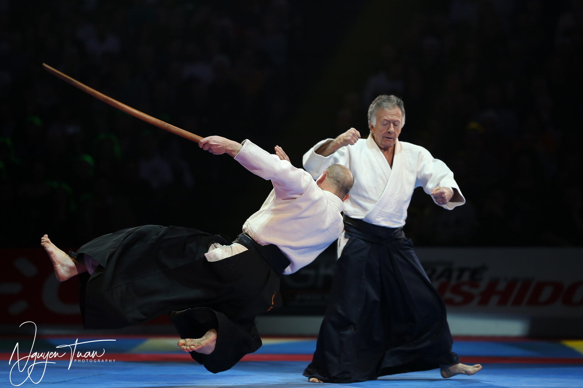 20190324 Festival des Arts Martiaux 2497